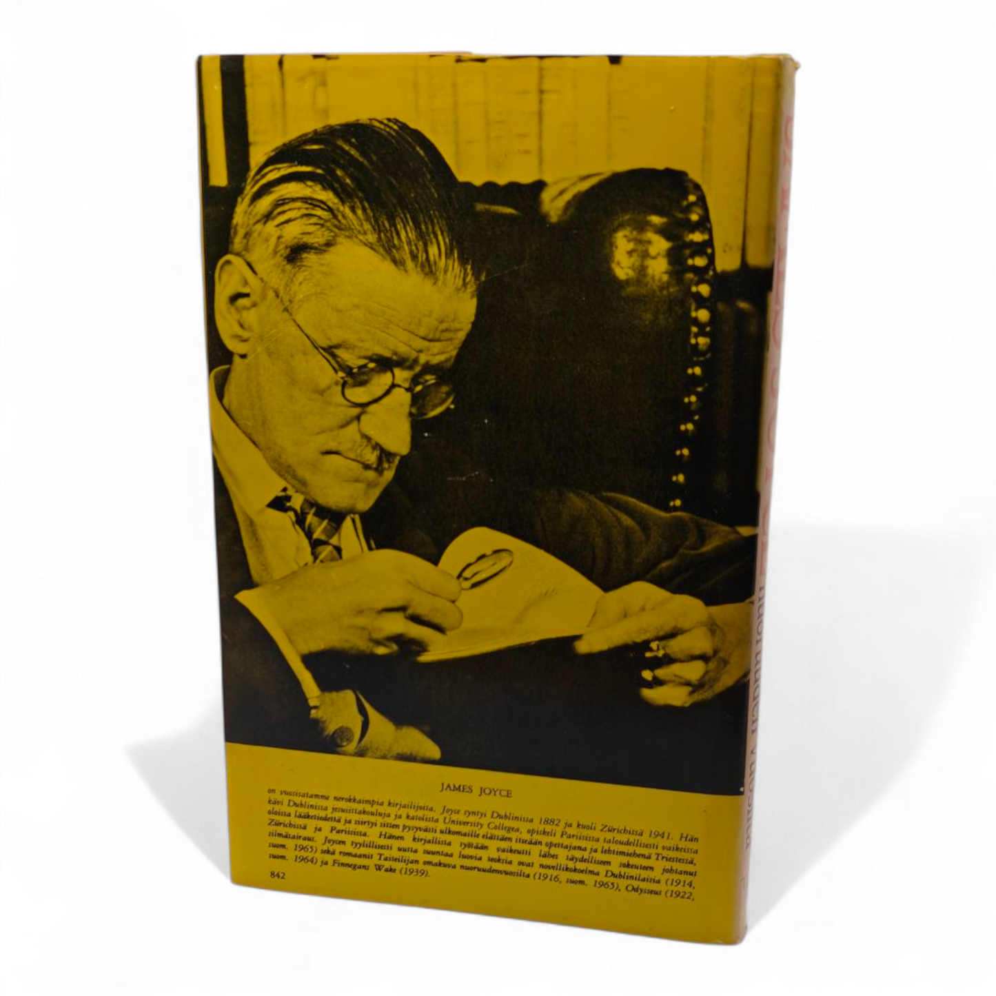 James Joyce, Taiteilijan omakuva nuoruusvuosilta