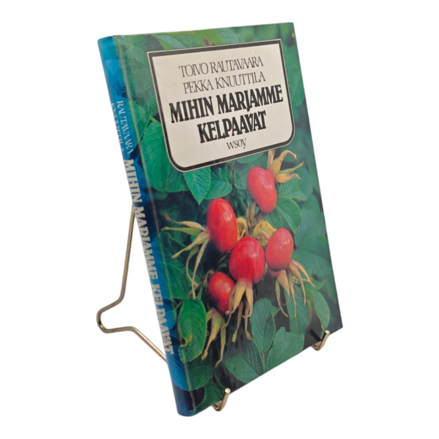Mihin marjamme kelpaavat, Knuutila, Rautavaara