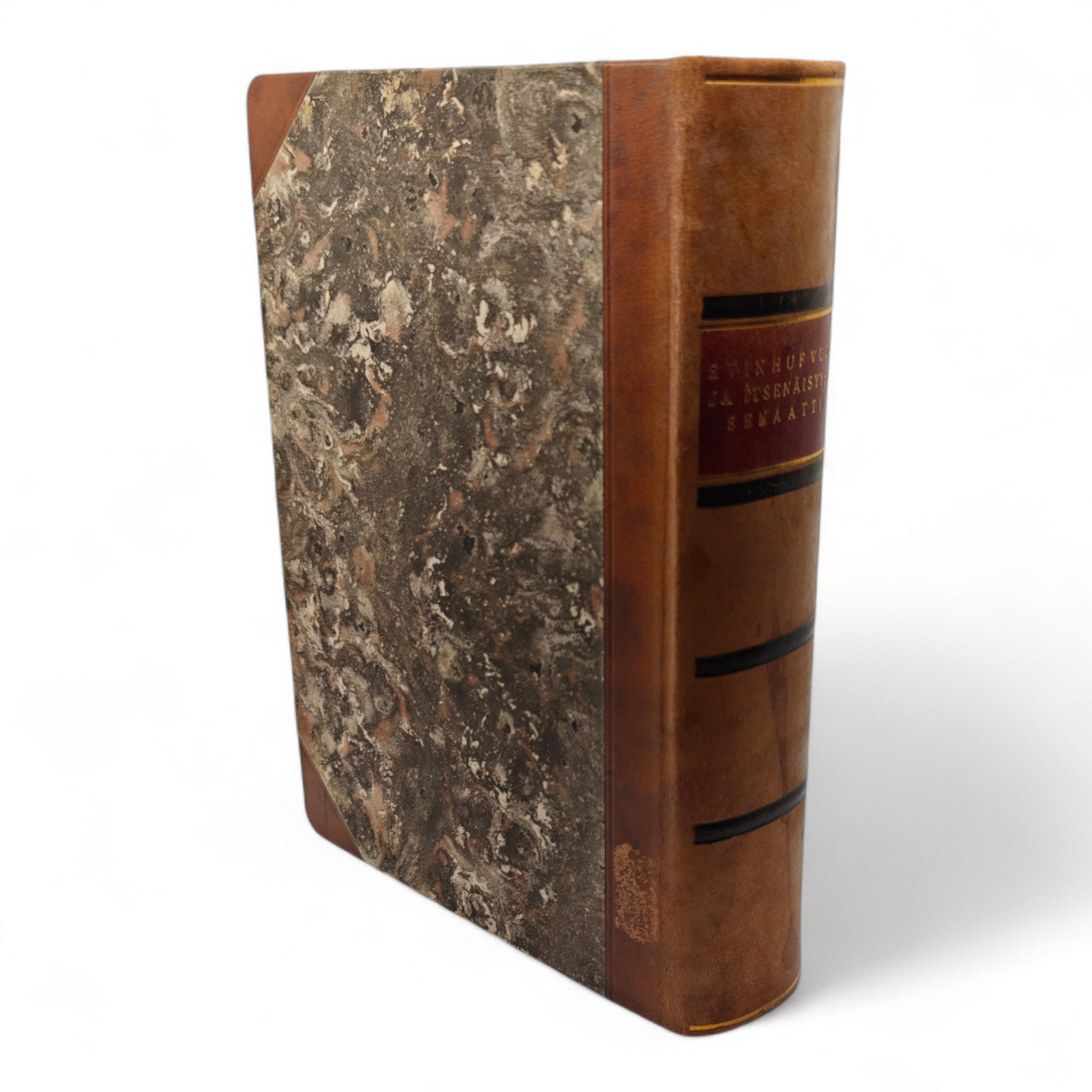 Svinhufvud ja itsenäisyyssenaatti, Erkki Räikkönen