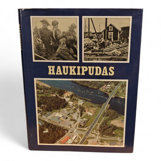 Haukipudas